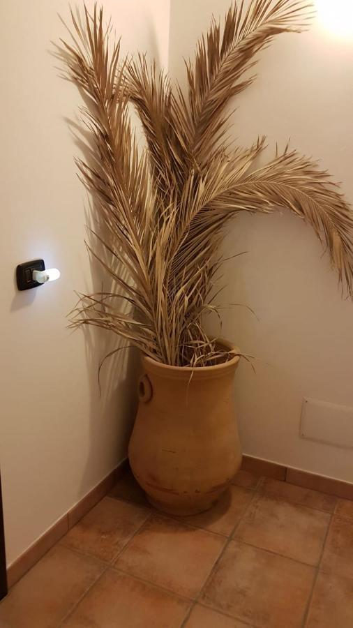 פאולה B&B L'Eucalipto מראה חיצוני תמונה