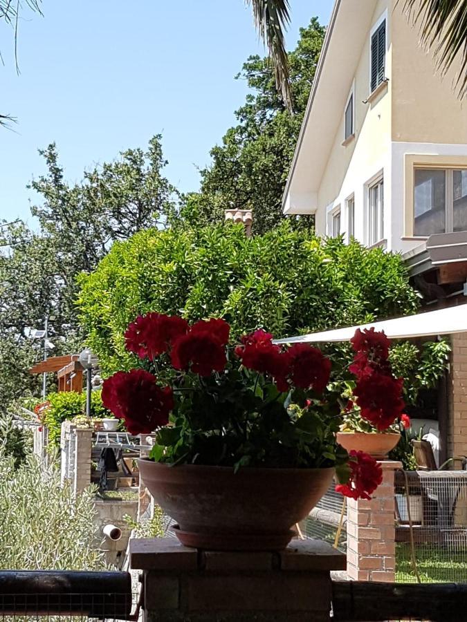 פאולה B&B L'Eucalipto מראה חיצוני תמונה